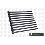 BGA Cylinder Head Bolts BK5385