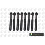 BGA Cylinder Head Bolts BK5916