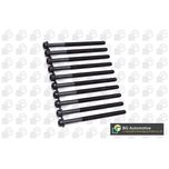 BGA Cylinder Head Bolts BK6315
