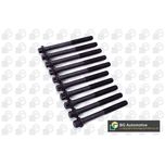 BGA Cylinder Head Bolts BK6318