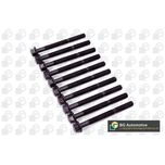 BGA Cylinder Head Bolts BK6327