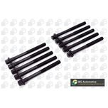 BGA Cylinder Head Bolts BK6378