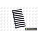 BGA Cylinder Head Bolts BK6384