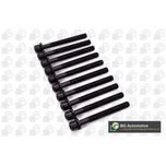 BGA Cylinder Head Bolts BK6393