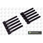 BGA Cylinder Head Bolts BK6396