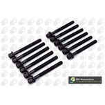 BGA Cylinder Head Bolts BK6397