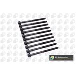 BGA Cylinder Head Bolts BK6398