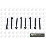 BGA Cylinder Head Bolts BK7900