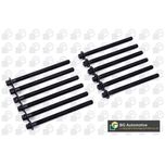 BGA Cylinder Head Bolts BK9600