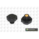 BGA Radiator Cap CC3000
