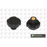 BGA Radiator Cap CC3001