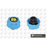 BGA Radiator Cap CC3003