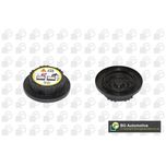 BGA Radiator Cap CC3020