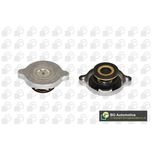 BGA Radiator Cap CC3025