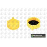BGA Radiator Cap CC3033
