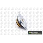 BGA Radiator Cap CC3043