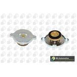 BGA Radiator Cap CC3044