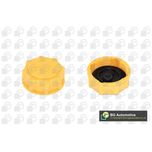 BGA Radiator Cap CC3045