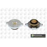 BGA Radiator Cap CC3048