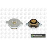 BGA Radiator Cap CC3050