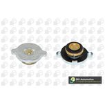 BGA Radiator Cap CC3051