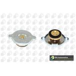 BGA Radiator Cap CC3053