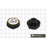 BGA Radiator Cap CC3060
