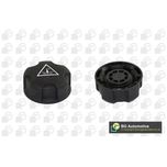 BGA Radiator Cap CC3164