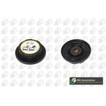 BGA Radiator Cap CC4200