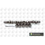 BGA Camshaft CS3381K