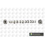 BGA Camshaft CS4573