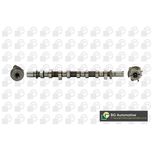 BGA Camshaft CS6319