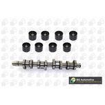 BGA Camshaft CS9901K