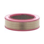 Mann Air Filter C30010