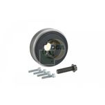 BGA Crankshaft Pulley DP0396K