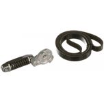 Gates Drive Belt Kit K016PK803EST