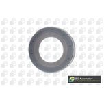 BGA Shaft Seal Front Right OS1402