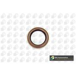 BGA Shaft Seal Rear OS2319
