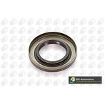 BGA Shaft Seal OS7380