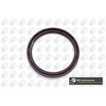 BGA Crankshaft Oil Seal Front OS7389
