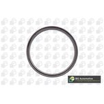 BGA Crankshaft Oil Seal Inner OS8391
