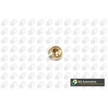 BGA Sump Plug PK2202