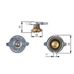 Gates Radiator Cap RC101