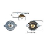 Gates Radiator Cap RC106