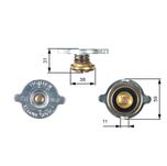 Gates Radiator Cap RC110