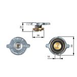 Gates Radiator Cap RC113