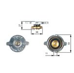 Gates Radiator Cap RC116