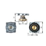 Gates Radiator Cap RC130