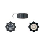 Gates Radiator Cap RC218