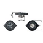 Gates Radiator Cap RC219